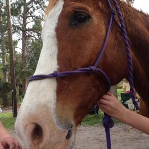 Meet your Posher, Danielle